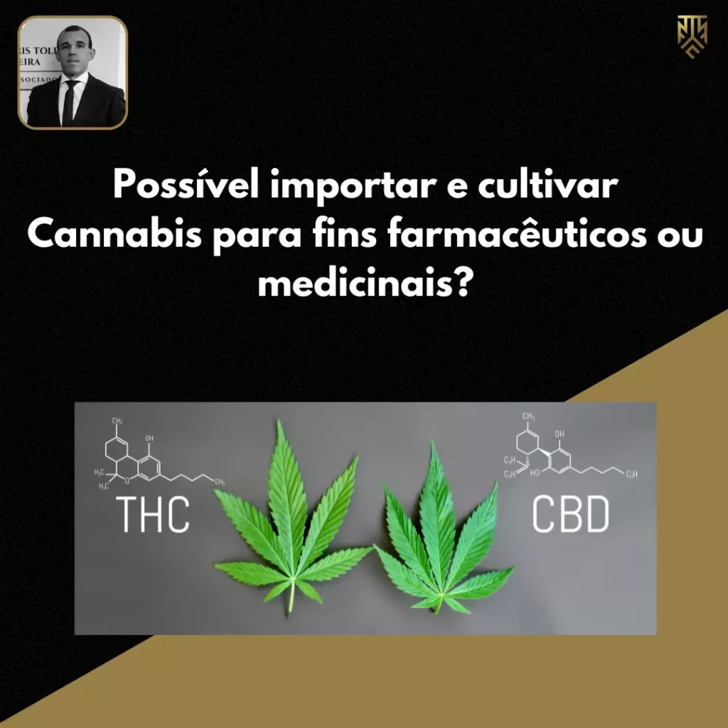 POSSÍVEL IMPORTAR E CULTIVAR CANNABIS PARA FINS FARMACÊUTICOS OU MEDICINAIS?